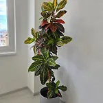 Pulse Appartement Sarajevo