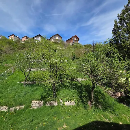 Апартаменты Pulse