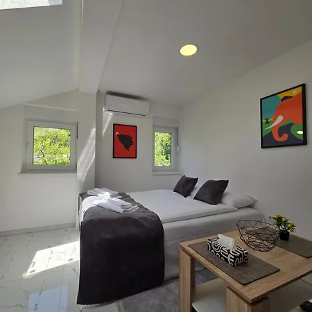 Daire Pulse Saraybosna